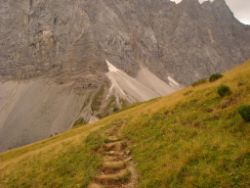 2013-09-08_6Falkenh-Steinfalk (008).JPG